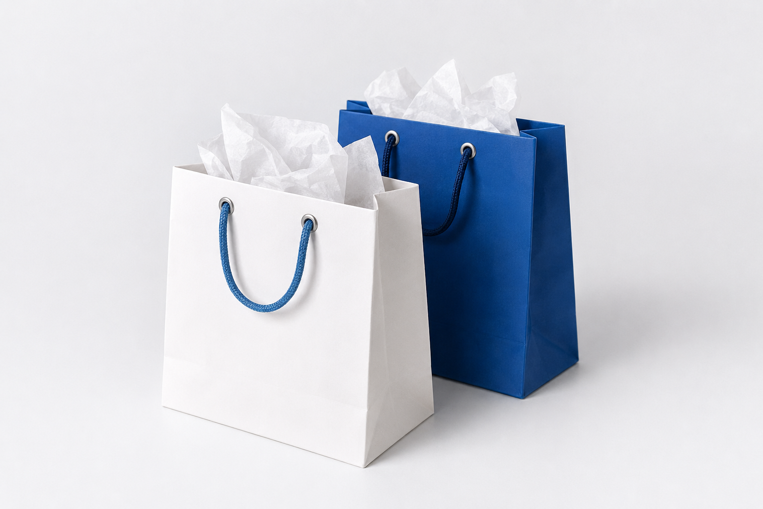 eBay-Shop Logo